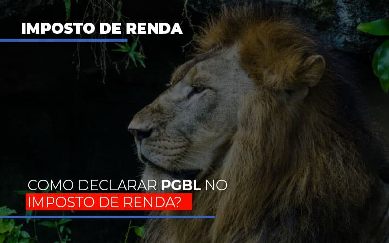 Ir2020:como Declarar Pgbl No Imposto De Renda Notícias E Artigos Contábeis - Contabilidade em São Paulo | Catana Assessoria Empresarial
