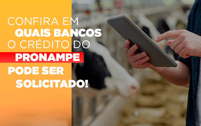 Confira Em Quais Bancos O Credito Pronampe Ja Pode Ser Solicitado Notícias E Artigos Contábeis Notícias E Artigos Contábeis - Contabilidade em São Paulo | Catana Assessoria Empresarial
