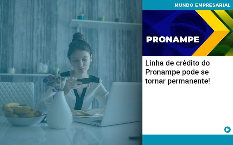 Linha De Credito Do Pronampe Pode Se Tornar Permanente - Contabilidade em São Paulo | Catana Assessoria Empresarial