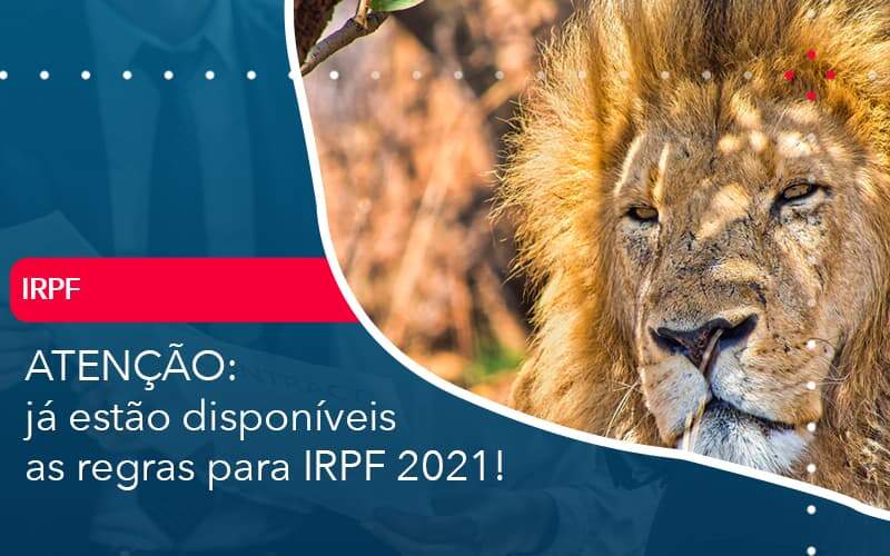 Ja Estao Disponiveis As Regras Para Irpf 2021 - Contabilidade em São Paulo | Catana Assessoria Empresarial