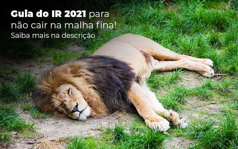 Guia Ir 2021 Para Nao Cair Na Malha Fina Saiba Mais Na Descricao Post 1 - Contabilidade em São Paulo | Catana Assessoria Empresarial