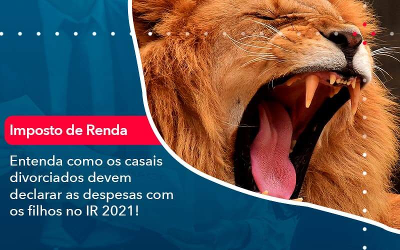Entenda Como Os Casais Divorciados Devem Declarar As Despesas Com Os Filhos No Ir 2021 1 - Contabilidade em São Paulo | Catana Assessoria Empresarial