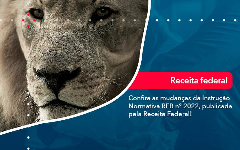 Confira As Mudancas Da Instrucao Normativa Rfb N 2022 Publicada Pela Receita Federal - Contabilidade em São Paulo | Catana Assessoria Empresarial