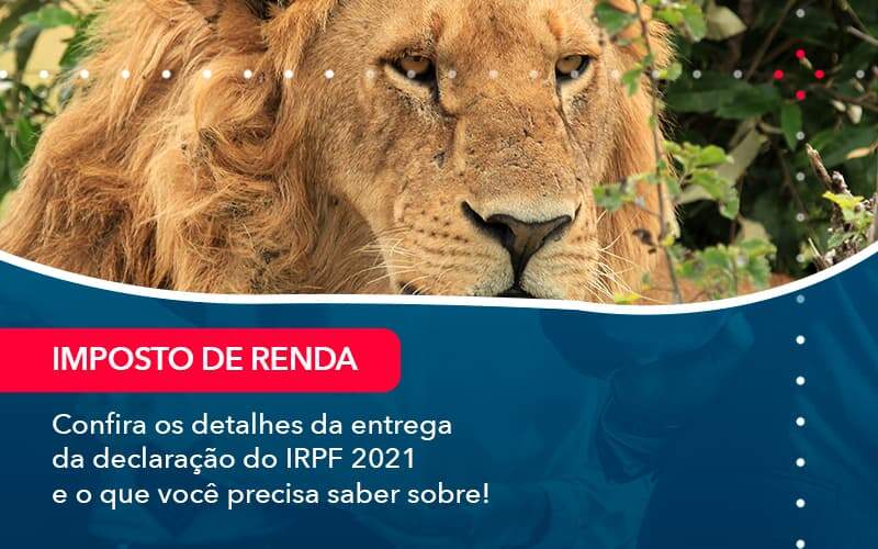 Confira Os Detalhes Da Entrega Da Declaracao Do Irpf 2021 E O Que Voce Precisa Saber Sobre 1 - Contabilidade em São Paulo | Catana Assessoria Empresarial