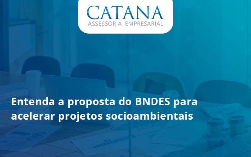 43 Catana Empresarial (2) - Contabilidade em São Paulo | Catana Assessoria Empresarial