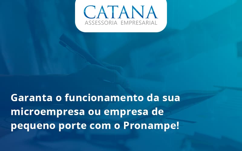 43 Catana Empresarial - Contabilidade em São Paulo | Catana Assessoria Empresarial
