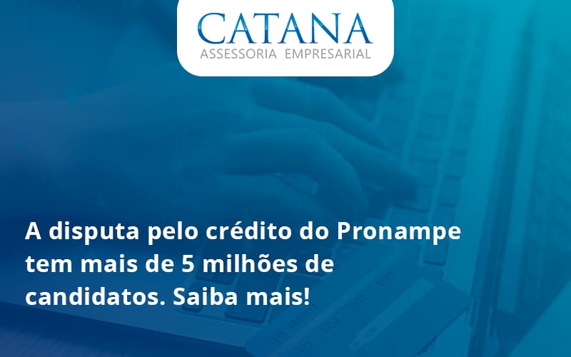 43 Catana Empresarial - Contabilidade em São Paulo | Catana Assessoria Empresarial