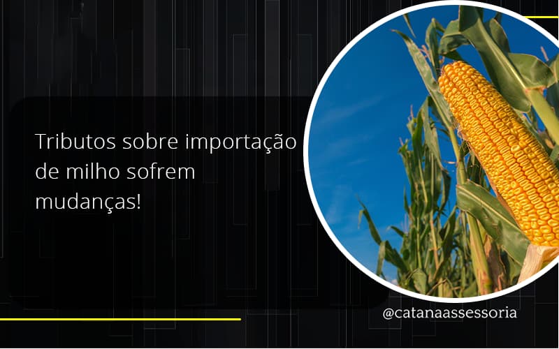Tributos Sobre Importação De Milho Sofrem Mudanças! Catana Empresarial - Contabilidade em São Paulo | Catana Assessoria Empresarial