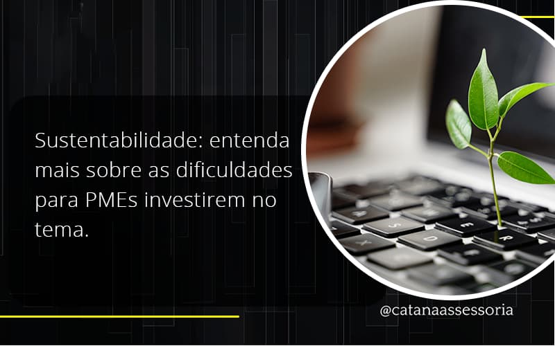 Sustentabilidade Catana Empresarial - Contabilidade em São Paulo | Catana Assessoria Empresarial