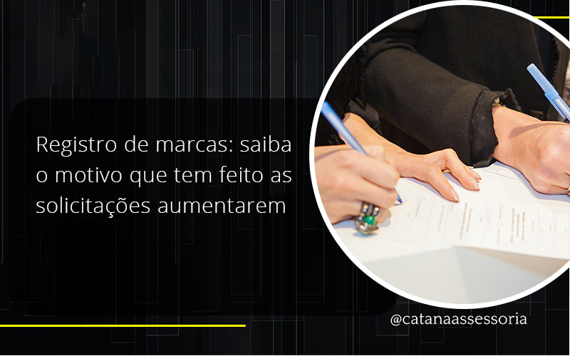 43 Catana Empresarial - Contabilidade em São Paulo | Catana Assessoria Empresarial