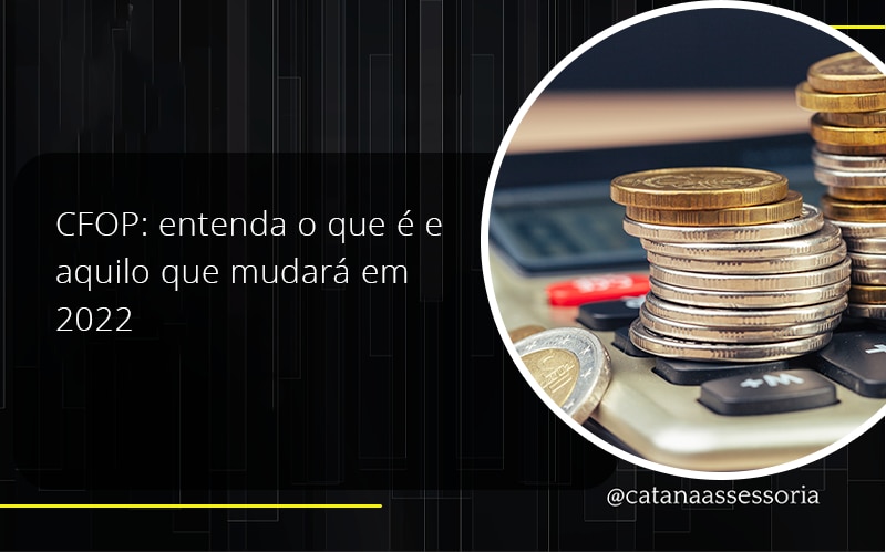 43 Catana Empresarial - Contabilidade em São Paulo | Catana Assessoria Empresarial