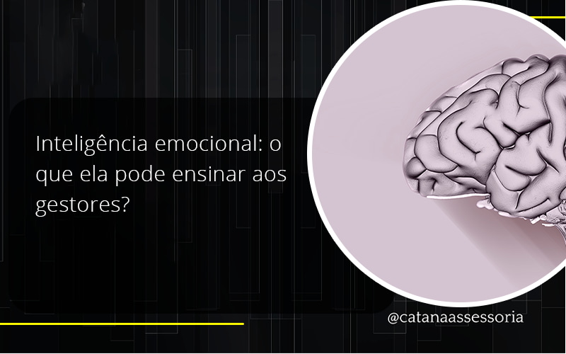 43 Catana Empresarial - Contabilidade em São Paulo | Catana Assessoria Empresarial