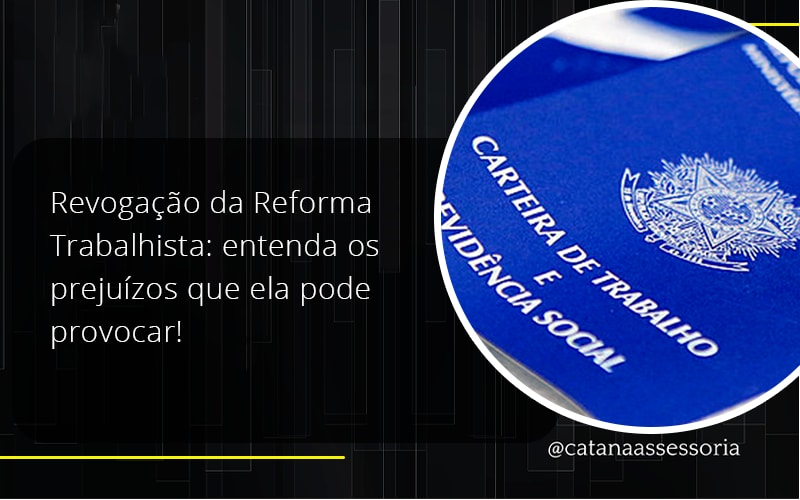 43 Catana Empresarial - Contabilidade em São Paulo | Catana Assessoria Empresarial