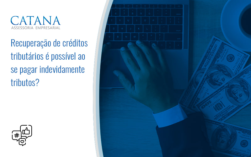 43 Catana Empresarial - Contabilidade em São Paulo | Catana Assessoria Empresarial