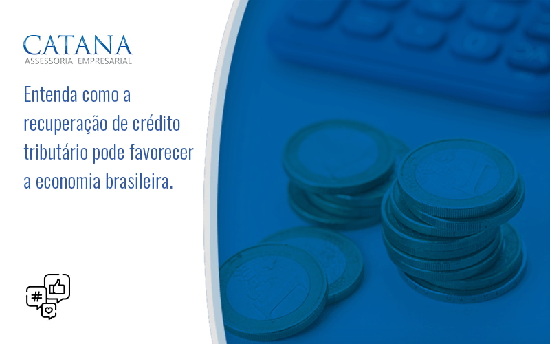 43 Catana Empresarial - Contabilidade em São Paulo | Catana Assessoria Empresarial