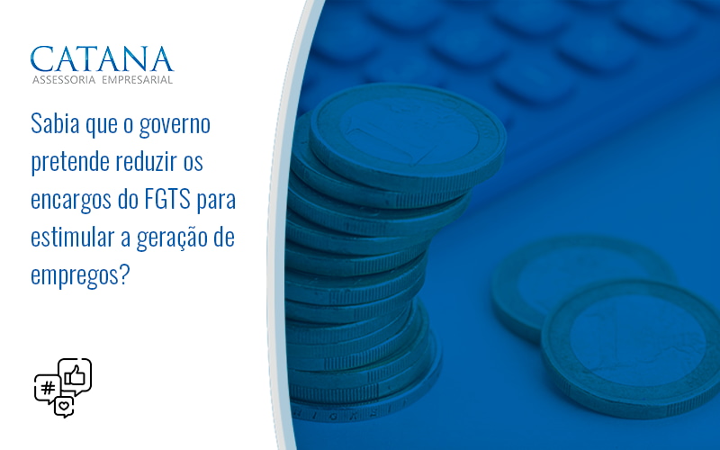 43 Catana Empresarial - Contabilidade em São Paulo | Catana Assessoria Empresarial